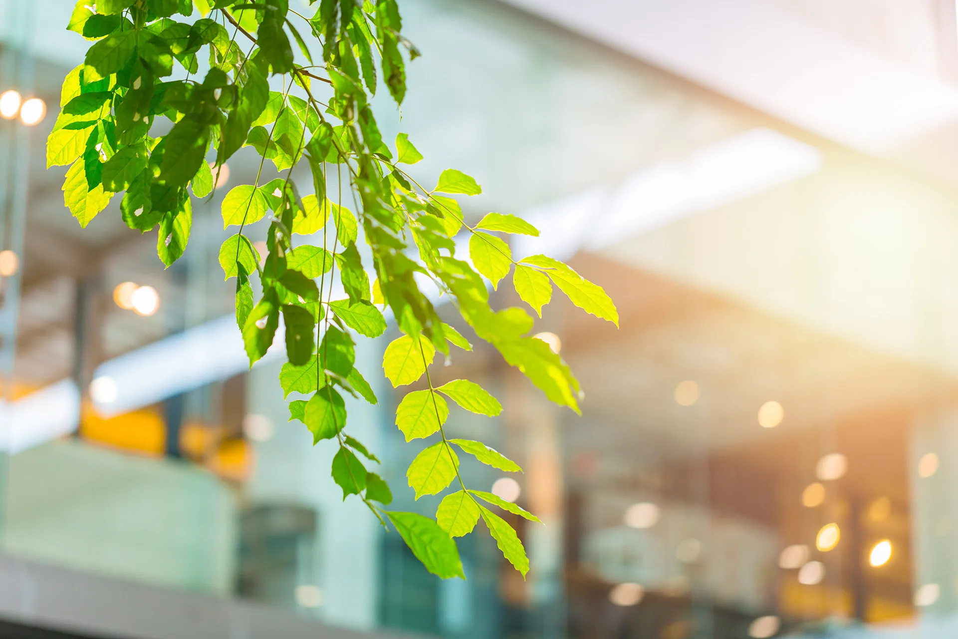 CPA | Sustainability